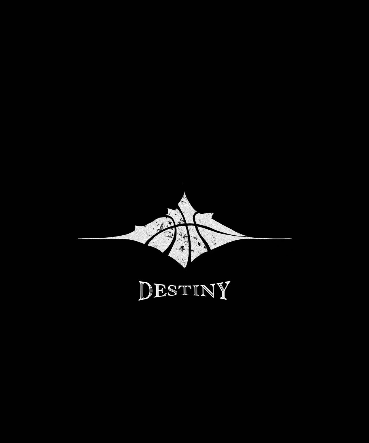 Team Destiny logo